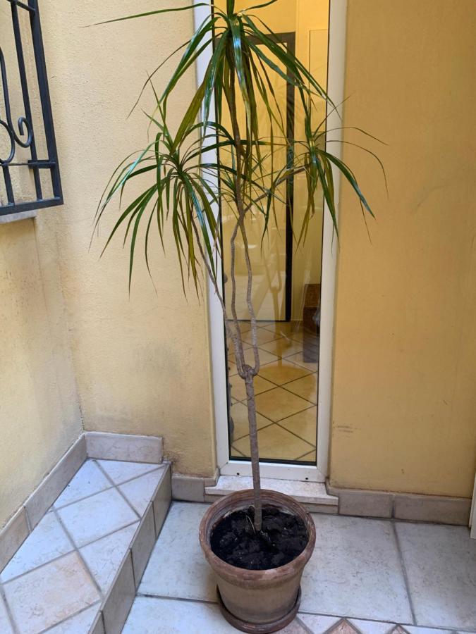 Biora Apartments Cagliari Exteriér fotografie